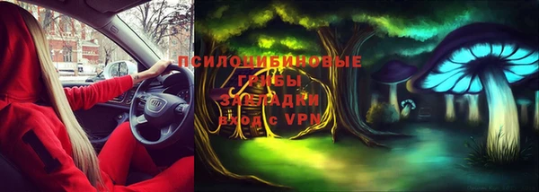 спиды Нефтекумск