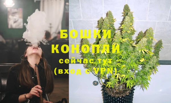 спиды Нефтекумск