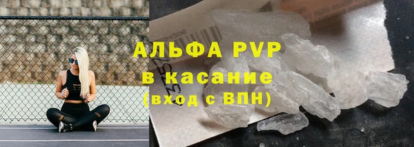 спиды Нефтекумск