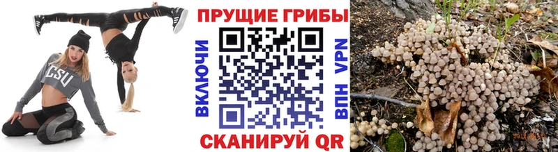 Галлюциногенные грибы мицелий  купить  цена  Балашиха 