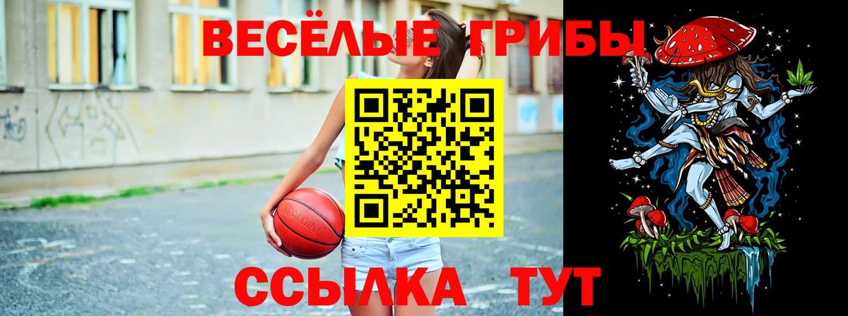 Псилоцибиновые грибы GOLDEN TEACHER Балашиха