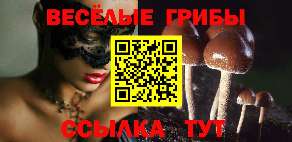 Псилоцибиновые грибы Cubensis  Балашиха  Галлюциногенные грибы GOLDEN TEACHER 